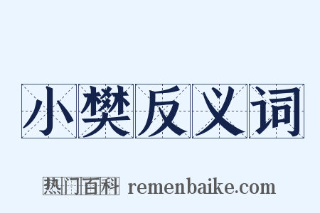 小樊反义词是什么意思的图片